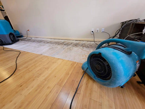 Professional Sewage Cleanup technician working in Huntley, IL